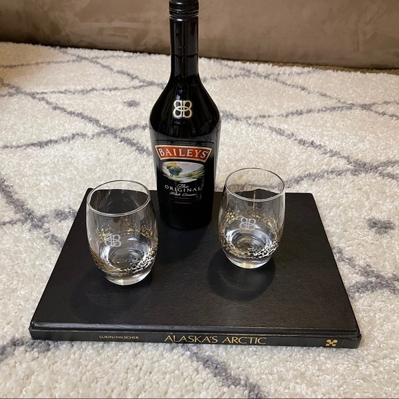 🌵Baileys Glasses set of 2, Alcohol NOT for Sale - Picture 4 of 4